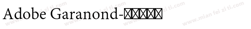 Adobe Garanond字体转换